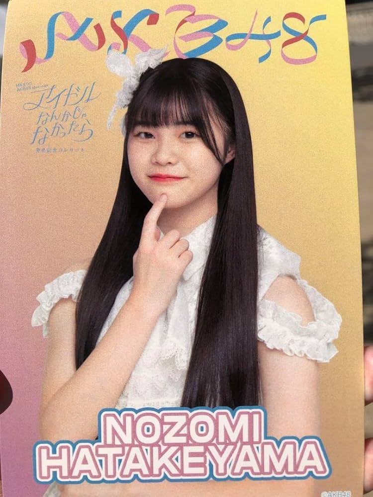 Amazon.co.jp: 畠山希美武道館コンサートSPECIALくじ限定ポスト